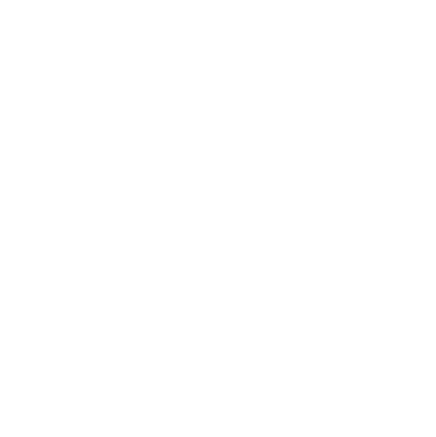 Strategic Action Plan Development