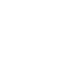 Digital Presence Audit